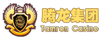 腾龙公司-腾龙酒店